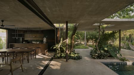 A Forest in the House
